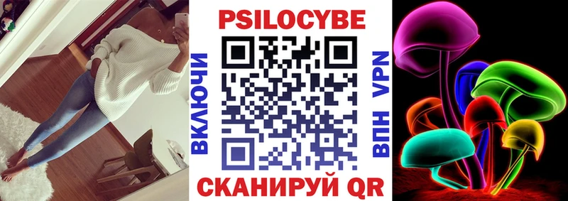 Купить закладки Кострома Псилоцибиновые грибы Psilocybine cubensis
